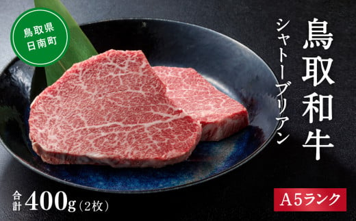 A5ランク 鳥取和牛シャトーブリアン 2枚 合計300g 牛肉 精肉 肉 カタセイ シャトーブリアン ヒレステーキ ヒレ ステーキ 肉 フィレステーキ ステーキ お肉 和牛 高級ヒレステーキ ヒレ肉 最高級 黒毛和牛 牛肉 お肉 1535847 - 鳥取県日南町