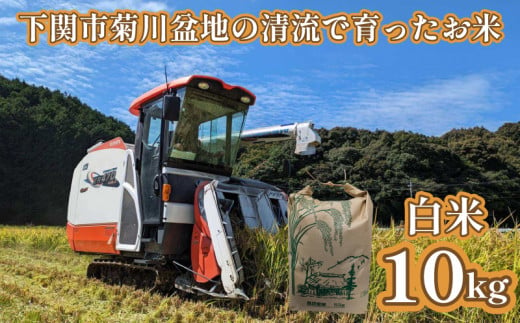 白米 10kg 下関市菊川町産 米 ヒノヒカリ、きぬむすめ、ひとめぼれ - 山口県下関市｜ふるさとチョイス - ふるさと納税サイト