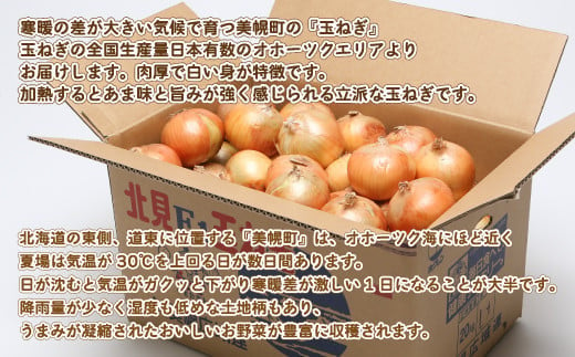 北海道美幌町のふるさと納税 玉ねぎLサイズ・20kg 【 ふるさと納税 人気 おすすめ ランキング たまねぎ 玉ねぎ 玉ネギ タマネギ 玉葱 オニオン 20kg スライス サラダ ハンバーグ 肉じゃが 味噌汁 焼き肉 バーベキュー BBQ スープ 国産 野菜 新鮮 北海道 美幌町 送料無料 】 BHRG030