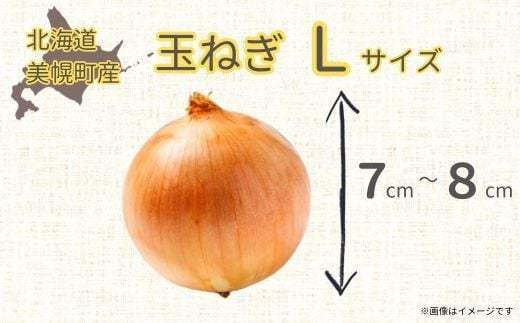 北海道美幌町のふるさと納税 玉ねぎLサイズ・20kg 【 ふるさと納税 人気 おすすめ ランキング たまねぎ 玉ねぎ 玉ネギ タマネギ 玉葱 オニオン 20kg スライス サラダ ハンバーグ 肉じゃが 味噌汁 焼き肉 バーベキュー BBQ スープ 国産 野菜 新鮮 北海道 美幌町 送料無料 】 BHRG030