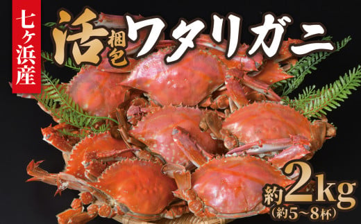 《先行予約》 七ヶ浜産 ワタリガニ 約 2kg (5〜8杯) 活 梱包 《2025年9月以降発送》｜ 七ヶ浜町 漁協 かに カニ 蟹 渡り蟹 ボイル パスタ ガザミ 国産 天然 茹でガニ 新鮮 ｜ jf-wg02-R7 1506399 - 宮城県七ヶ浜町