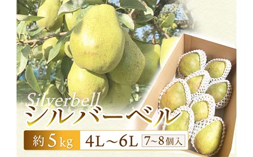 【令和7年先行受付】シルバーベル 約5kg（7～8個） ラ・フランス 梨 洋梨 果物 フルーツ FSY-2092 1894638 - 山形県山形県庁