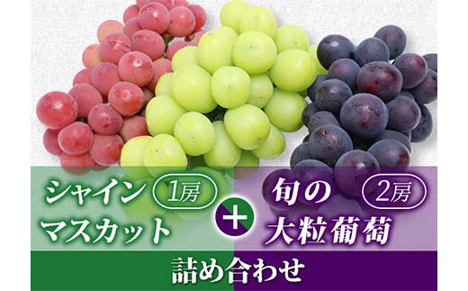 [令和7年先行受付]シャインマスカット&旬の大粒ぶどう 詰め合わせ 約1.8kg(計3房) ぶどう 果物 フルーツ