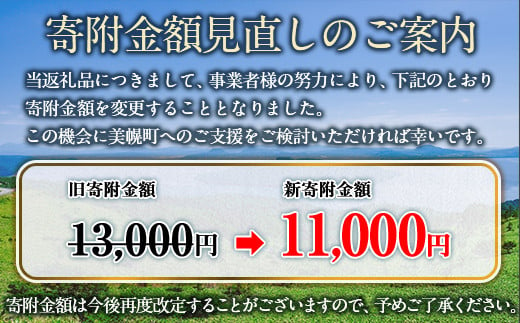 北海道美幌町のふるさと納税 【田村精肉店】北海道産ブランド牛の赤身1kg(スライス800g・切り落とし200g)【配送不可地域：離島】 ふるさと納税 人気 おすすめ ランキング 牛肉 牛 肉 赤身肉 牛赤身肉 切り落とし すき焼き しゃぶしゃぶ 北海道 美幌町 送料無料 BHRJ011