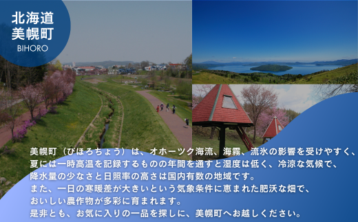 北海道美幌町のふるさと納税 【田村精肉店】北海道産ブランド牛の赤身1kg(スライス800g・切り落とし200g)【配送不可地域：離島】 ふるさと納税 人気 おすすめ ランキング 牛肉 牛 肉 赤身肉 牛赤身肉 切り落とし すき焼き しゃぶしゃぶ 北海道 美幌町 送料無料 BHRJ011