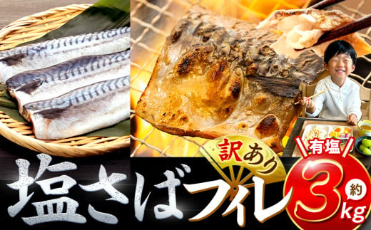 訳あり 塩サバ 約3kg 冷凍 鯖 塩 さば 魚 さかな 海鮮 海産物 おかず ご飯 おすすめ 人気 愛知県 南知多町 【配送不可地域：離島】 1369031 - 愛知県南知多町