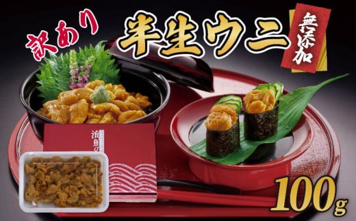 訳あり 半生うに 100g 冷凍 うに キタムラサキウニ ミョウバン不使用 ウニ丼 丼 三陸 岩手県 大船渡市