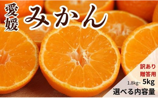 期間限定 選べる規格・内容量 愛媛みかん 1.8kg 3kg 5kg (傷み保証200g)[発送期間:2024年10月20日〜なくなり次第終了]果物 柑橘 みかん 蜜柑 フルーツ ゼリー ジュース オレンジ 甘い 糖度 美味しい ビタミン 美容 健康 不揃い 傷 愛媛 愛南町 吉本農園 送料無料