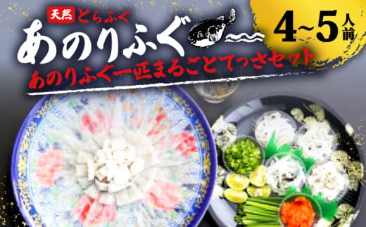 とらふぐ 4～5人前 てっさ 期間限定 セット 天然 あのりふぐ 冷蔵 刺身 刺し身 ふぐ刺身 河豚刺し ふるさと納税ふぐ ふるさと納税とらふぐ 鮮魚 海鮮 魚介 冬 旬 三重 伊勢志摩 志摩  1124161 - 三重県志摩市