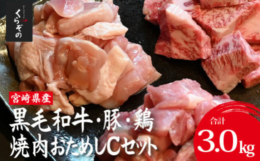 宮崎県産 牛・豚・鶏 焼肉おためしCセット 計3kg（牛肉 豚肉 鶏肉 和牛 焼肉 訳あり 小分け 食べ比べ）