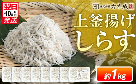 釜揚げ しらす プレミアム 約1kg (130g×8パック) 小分け 減塩 無添加 無着色 冷凍 愛知県 南知多町 ご飯 ごはん 丼 料理 シラス 国産 カネ成 人気 おすすめ 1429335 - 愛知県南知多町