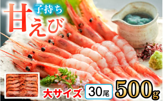 【レビューキャンペーン】子持ち甘えび 約30尾×1箱（500ｇ） 1523322 - 福井県小浜市