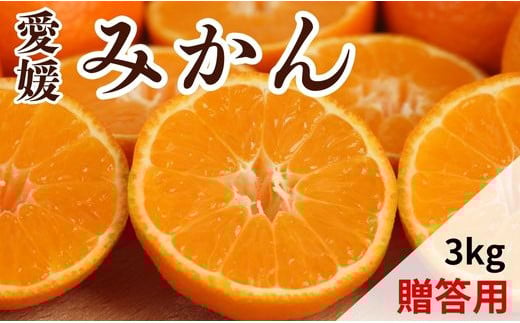 【先行予約】贈答用 愛媛みかん 3kg【発送期間：10月～なくなり次第終了】 蜜柑 みかん 柑橘 果物 フルーツ 温州みかん 愛媛みかん 愛媛 愛南町 吉本農園 