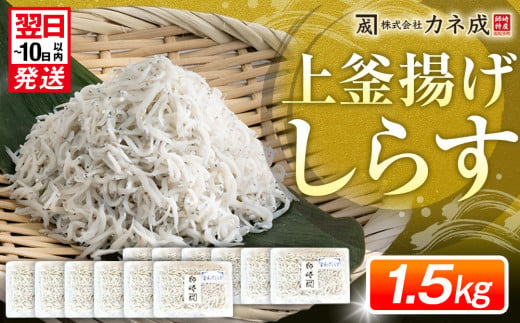 釜揚げ しらす プレミアム 約1.5kg ( 130g × 12 パック ) 小分け 減塩 無添加 無着色 冷凍 愛知県 南知多町 ご飯 ごはん 丼 料理 シラス 国産 カネ成 人気 おすすめ 1017362 - 愛知県南知多町