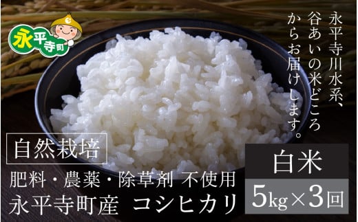 【令和6年産 新米】【3ヶ月連続お届け】自然栽培のコシヒカリ 永平寺町市野々産【白米】５kgx3ヶ月（計15kg）無農薬 化学肥料  除草剤 不使用 福井県 永平寺 定期便 1537941 - 福井県永平寺町