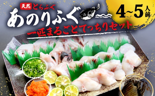  とらふぐ 4～5人前 てっちり 期間限定 セット 天然 あのりふぐ 1匹 鍋  河豚鍋 ふぐ鍋 ふるさと納税ふぐ ふるさと納税とらふぐ 鮮魚 魚介 海鮮 旬 冬 鍋料理 海鮮鍋 三重 伊勢志摩 志摩  1124051 - 三重県志摩市