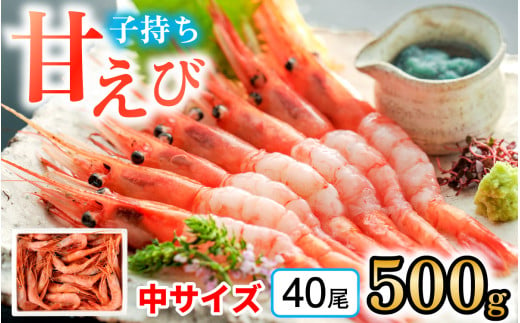 【レビューキャンペーン】子持ち甘えび 約40尾 ×1箱（500ｇ） 1523320 - 福井県小浜市