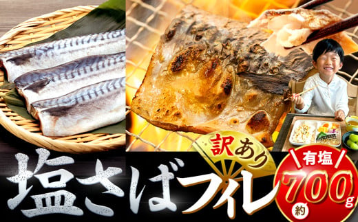 訳あり 塩サバ 約700g 冷凍 鯖 塩 さば 魚 さかな 海鮮 海産物 おかず ご飯 おすすめ 人気 愛知県 南知多町 【配送不可地域：離島】 1369030 - 愛知県南知多町