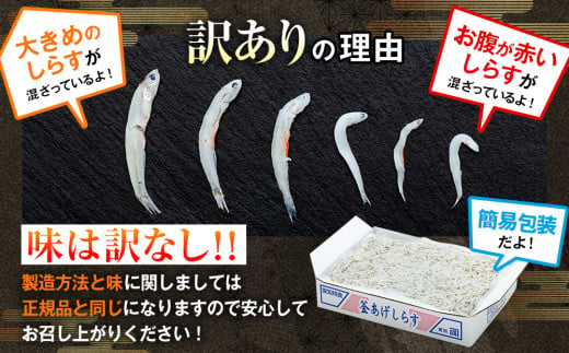 愛知県南知多町のふるさと納税 訳あり 釜揚げ しらす 2kg (1箱×2) 小分け 減塩 無添加 無着色 冷凍 愛知県 南知多町 ご飯 ごはん 丼 料理 国産 カネ成 シラス 人気 おすすめ