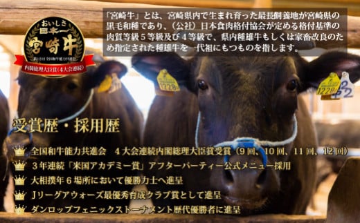 宮崎県小林市のふるさと納税 【おためし特別提供品】宮崎牛赤身ステーキ　おためしファミリーパック（おためし 牛肉 黒毛和牛 和牛 ステーキ 赤身 モモ 宮崎牛 ブランド牛）