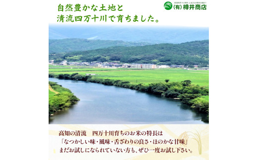 コシヒカリを父にもつ西日本を代表するお米ヒノヒカリ
ヒノヒカリはコシヒカリを父に持つ食味の良い西日本を代表するお米です

