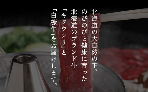 北海道美幌町のふるさと納税 【田村精肉店】北海道産ブランド牛の赤身2kg(スライス1600g・切り落とし400g)【配送不可地域：離島】 ふるさと納税 人気 おすすめ ランキング 牛肉 牛 肉 赤身肉 牛赤身肉 切り落とし すき焼き しゃぶしゃぶ 北海道 美幌町 送料無料 BHRJ020