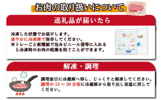 宮崎県小林市のふるさと納税 【おためし特別提供品】宮崎牛赤身ステーキ　おためしファミリーパック（おためし 牛肉 黒毛和牛 和牛 ステーキ 赤身 モモ 宮崎牛 ブランド牛）