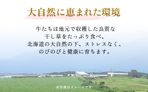 北海道美幌町のふるさと納税 【田村精肉店】北海道産ブランド牛の赤身2kg(スライス1600g・切り落とし400g)【配送不可地域：離島】 ふるさと納税 人気 おすすめ ランキング 牛肉 牛 肉 赤身肉 牛赤身肉 切り落とし すき焼き しゃぶしゃぶ 北海道 美幌町 送料無料 BHRJ020