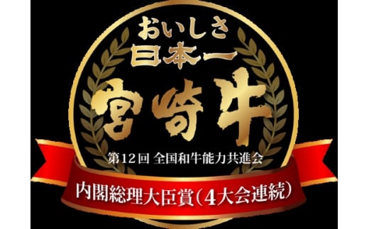 宮崎県小林市のふるさと納税 【おためし特別提供品】宮崎牛赤身ステーキ　おためしファミリーパック（おためし 牛肉 黒毛和牛 和牛 ステーキ 赤身 モモ 宮崎牛 ブランド牛）