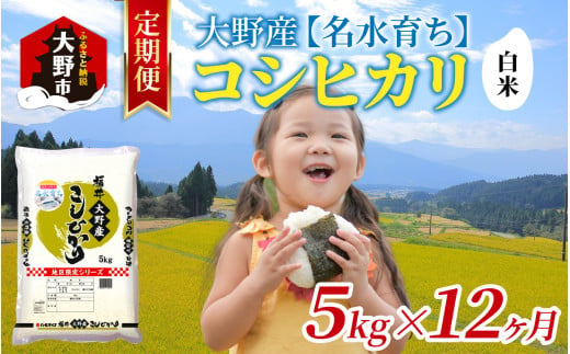 【12ヶ月定期便】【令和6年産 新米】大野産コシヒカリ（白米）5kg×12回 計60kg【大野ブランド米 名水育ち】