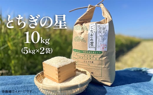 とちぎの星 10kg 5kg × 2袋 栃木県 野木町産 令和6年 KB02 1536478 - 栃木県野木町