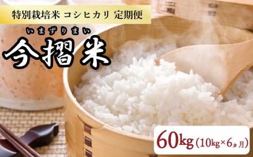 【定期便】 令和6年産 コシヒカリ 60kg 10㎏×6か月 特別栽培米 今摺米【  定期便 6か月 10㎏ 米  こめ ※ 今ずり米 JA北新潟 新潟県 新発田市 JA003 】