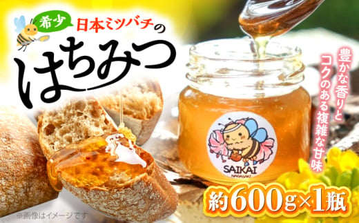 蜂蜜 はちみつ 【希少な日本ミツバチ】 国産 蜂蜜 約600g ～西海からの贈り物～＜おばま養蜂農園＞ [CFY001]  長崎 西海 蜂蜜 はちみつ ハチミツ 蜂蜜 はちみつ ハチミツ 国産蜂蜜  1537741 - 長崎県西海市