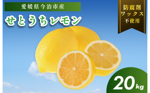 【有機】せとうちレモン　今治産　20kg【K002330KG20】 1540378 - 愛媛県今治市