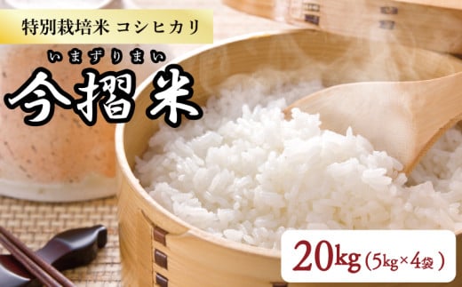 令和6年産 コシヒカリ 20kg 5㎏×4袋 特別栽培米 今摺米【 新潟県産 新発田 特別栽培米 コシヒカリ 5kg 2袋 今ずり米 JA北新潟 10kg JA001 】