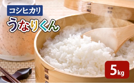 [№5904-0585]【令和6年度産】「コシヒカリ」うなりくん 5kg 白米 精米 米 こしひかり 成田市 千葉県