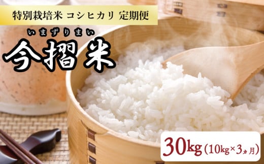 【定期便】 令和6年産 コシヒカリ 30kg 10㎏×3か月 特別栽培米 今摺米【 コシヒカリ 特別栽培米 定期便 3か月 10㎏ 米  今ずり米 JA北新潟 新潟県 新発田市 JA002 】