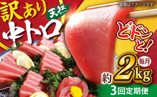 [全3回定期便][訳あり]天然 まぐろ 中トロ(約2kg)マグロ 定期 鮪 まぐろ 中とろ 刺身 定期便 マグロ定期[横須賀商工会議所 おもてなしギフト事務局(本まぐろ直売所)] [AKAK053]