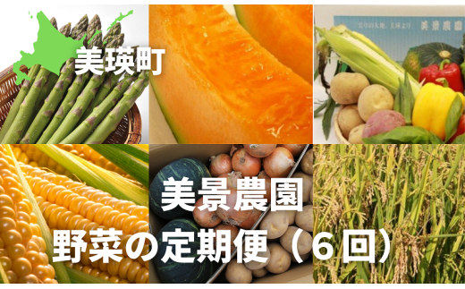 ≪令和７年産予約受付！≫美景農園 野菜の定期便（５回）[068-02] - 北海道美瑛町｜ふるさとチョイス - ふるさと納税サイト