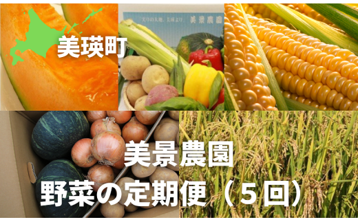 ≪令和７年産予約受付！≫美景農園　野菜の定期便（５回）[068-02] 682660 - 北海道美瑛町