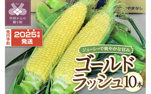 〈2025年度配送分〉とうもろこし「ゴールドラッシュ」 10本（2025年6月上旬～下旬にかけて順次配送予定）