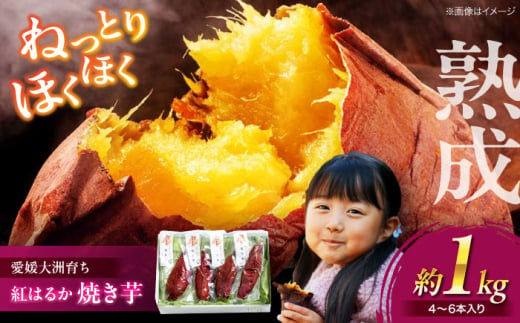 愛媛大洲育ち 熟成紅はるか焼き芋 1kg（4から6本入り） 冷やし焼き芋 レンジで焼き芋 サツマイモ さつまいも やき芋 冷蔵 小分け 個包装 愛媛県大洲市/(有)玉井民友商店 [AGBY007] 1537444 - 愛媛県大洲市