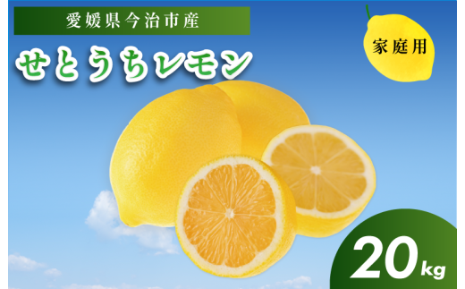 せとうちレモン　今治産　20kg【K002320KG20】 1540381 - 愛媛県今治市