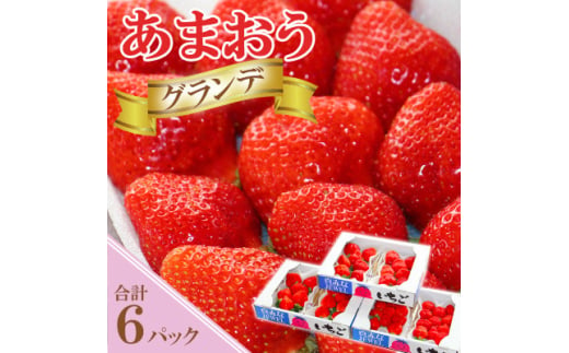 ＜先行受付＞あまおうグランデサイズ　3玉～15玉(6パック)1月より順次発送(吉富町)【1523908】 1539984 - 福岡県吉富町