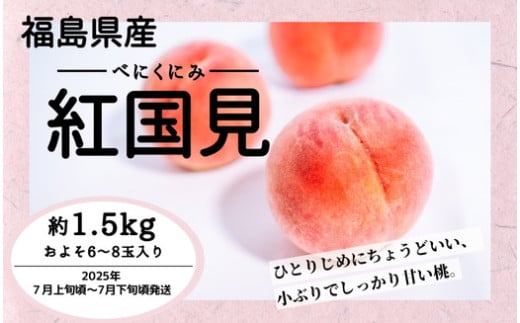 ◆2025年夏発送◆ 紅国見 ～産直・桃・約1.5kg～　※離島への配送不可　※2025年7月上旬～7月下旬頃に順次発送予定｜先行予約 予約 桃 もも モモ 果物 くだもの フルーツ 詰め合わせ 福島 ふくしま