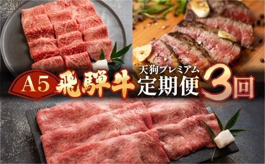 【定期便3回】 A5 飛騨牛 天狗 (ステーキ / すき焼き / 焼肉) 牛肉 赤身 霜降り 希少部位 サーロイン もも すき焼 肉 下呂温泉 おすすめ 牛肉 ブランド牛 肉ギフト 国産 焼き肉 しゃぶしゃぶ ギフト お楽しみ 50000円 5万円 高級牛肉 岐阜県 下呂市 1200723 - 岐阜県下呂市