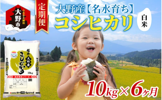 【6ヶ月定期便】【令和6年産 新米】大野産コシヒカリ（白米）10kg×6回 計60kg【大野ブランド米 名水育ち】