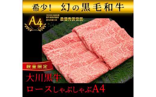 国産黒毛和牛 大川黒牛 ロース しゃぶしゃぶ用 スライス A4（250g×2パック） 国産 黒毛和牛 A4 ロース 牛肉 しゃぶしゃぶ 牛しゃぶ 鍋 牛 ビーフ 肉 食品 高知県 大川村 F6R-023 790005 - 高知県大川村