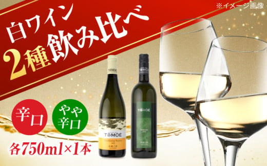 【12/18入金まで年内配送】TOMOE 白ワイン 2本セット B シャルドネ リザーブ 辛口 デラウェア ワイン 受賞 飲み比べ ワインセット ギフト 三次市/広島三次ワイナリー[APAZ017] 313599 - 広島県三次市