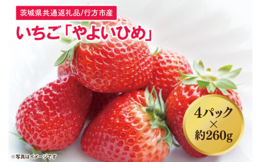 【茨城県共通返礼品/行方市産】【2025年1月より順次発送】いちご 「やよいひめ」 約260gパック×4【いちご 苺 イチゴ フルーツ 果物 ジューシー 水戸市 水戸 茨城県】（LO-3） 1538339 - 茨城県水戸市